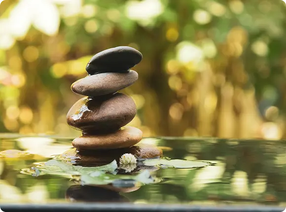 La plataforma ideal para la gestión de tu spa - Ejemplo de trabajo